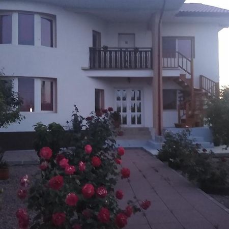 Casa Doina Hotel Douazeci si Trei August Exterior photo
