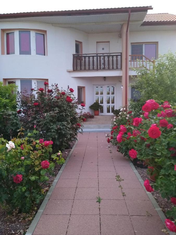 Casa Doina Hotel Douazeci si Trei August Exterior photo